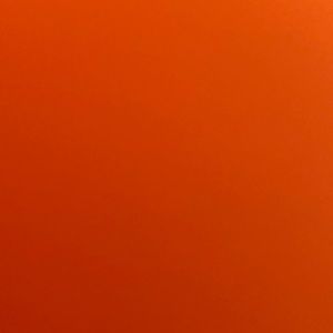 Meet your Posher, Trisha